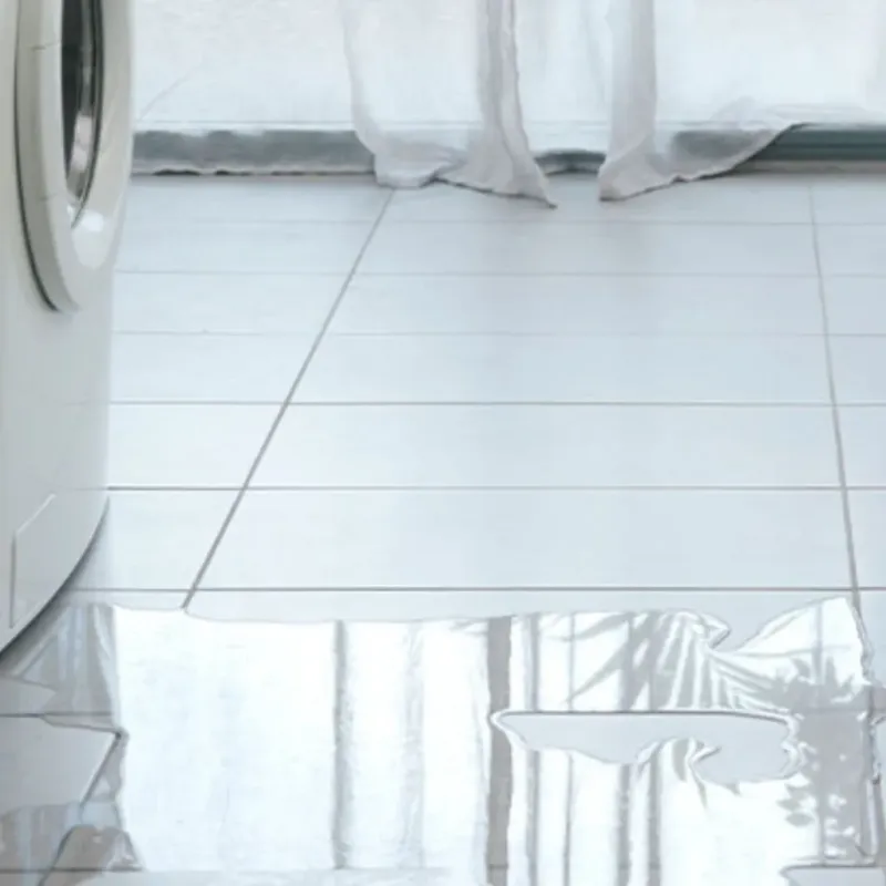 Appliance Leak Cleanup in Leesburg, VA