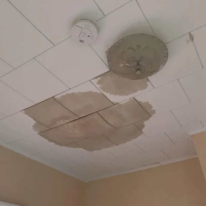 Ceiling Water Damage Repair in Leesburg, VA