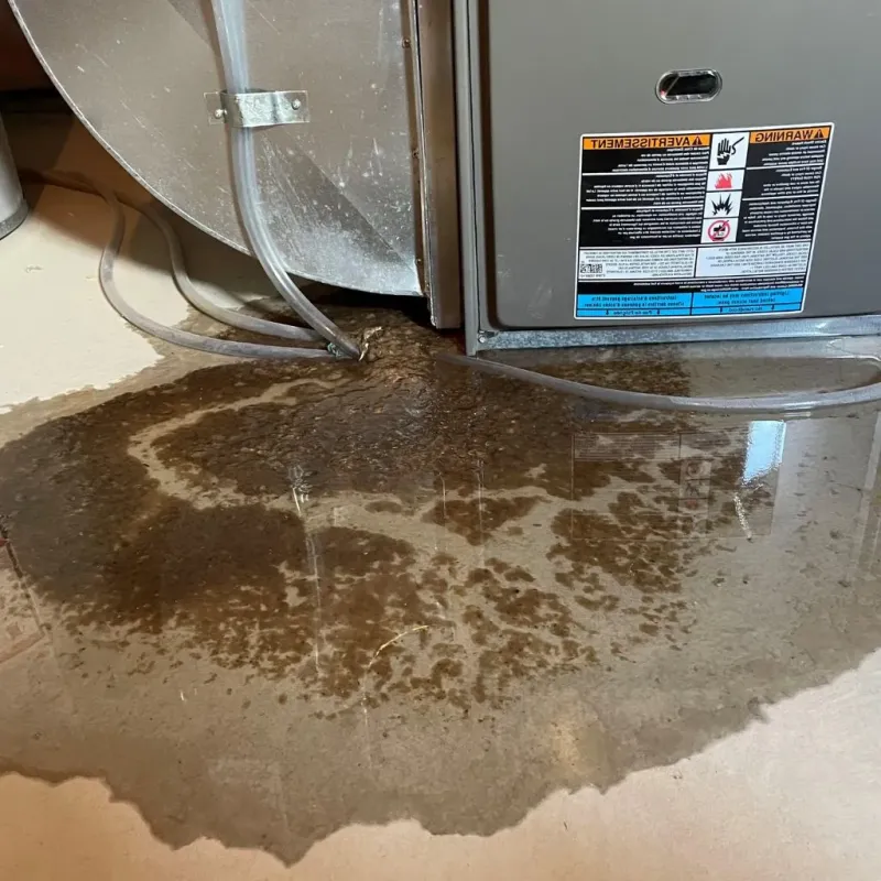 Pipe Burst and Leak Restoration in Leesburg, VA