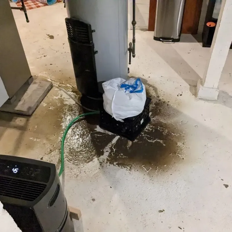 Sewage Backup Cleanup Service in Leesburg, VA